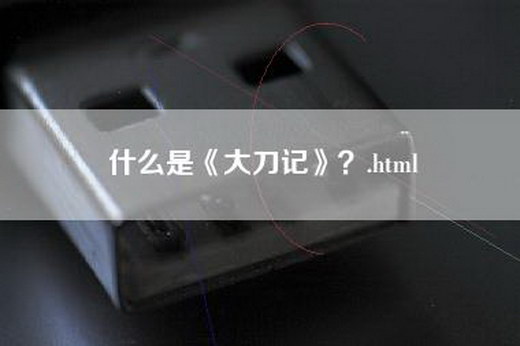 什么是《大刀记》？.html