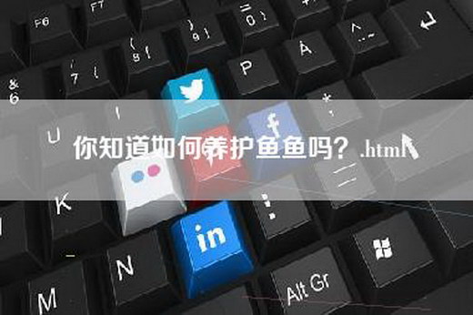 你知道如何养护鱼鱼吗？.html