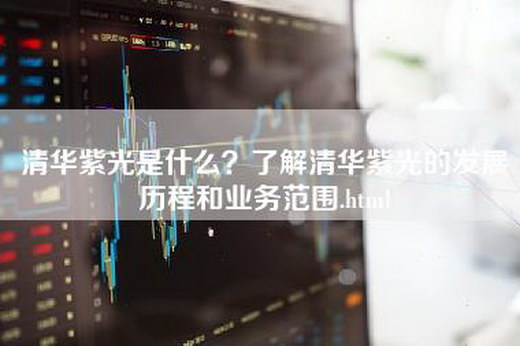 清华紫光是什么？了解清华紫光的发展历程和业务范围.html