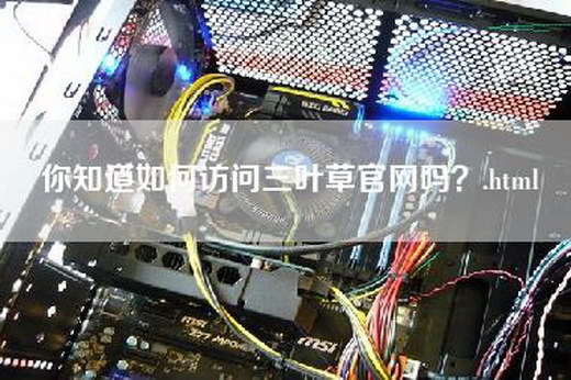 你知道如何访问三叶草官网吗？.html