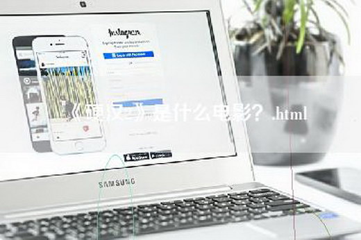 《硬汉2》是什么电影？.html