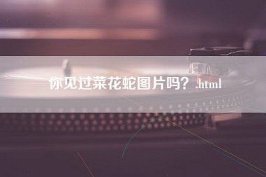 你见过菜花蛇图片吗？.html