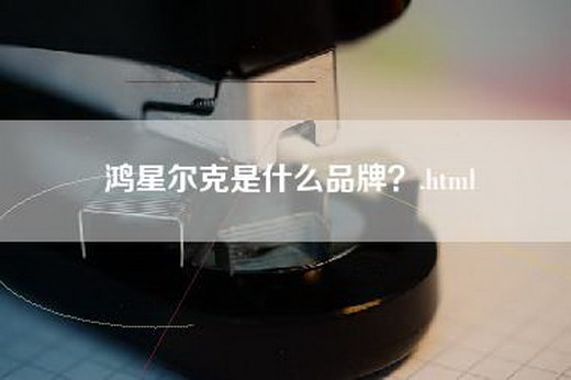 鸿星尔克是什么品牌？.html