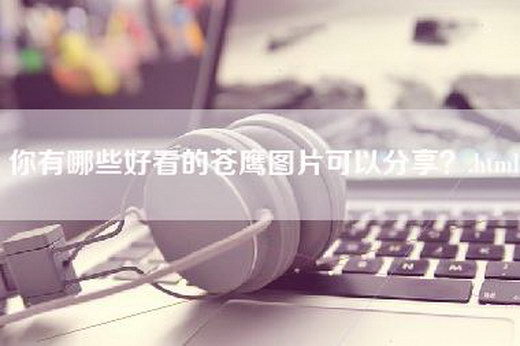 你有哪些好看的苍鹰图片可以分享？.html