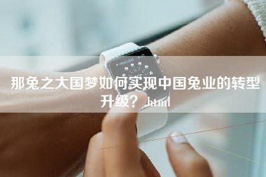 那兔之大国梦如何实现中国兔业的转型升级？.html