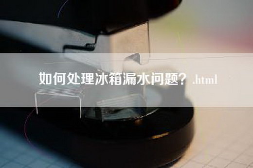 如何处理冰箱漏水问题？.html