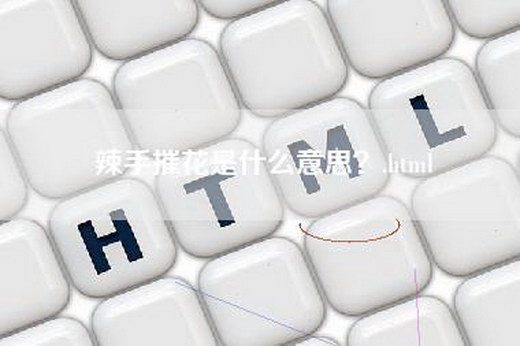 辣手摧花是什么意思？.html