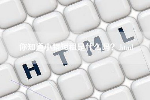 你知道小猪短租是什么吗？.html