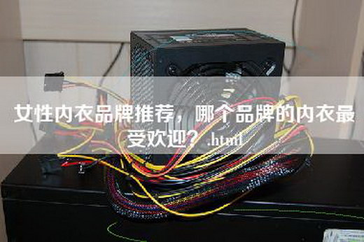 女性内衣品牌推荐，哪个品牌的内衣最受欢迎？.html