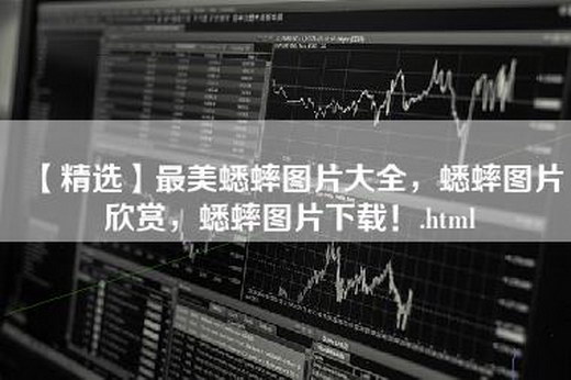 【精选】最美蟋蟀图片大全，蟋蟀图片欣赏，蟋蟀图片下载！.html