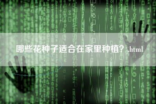 哪些花种子适合在家里种植？.html