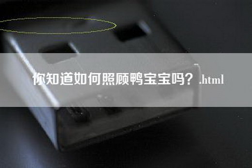 你知道如何照顾鸭宝宝吗？.html