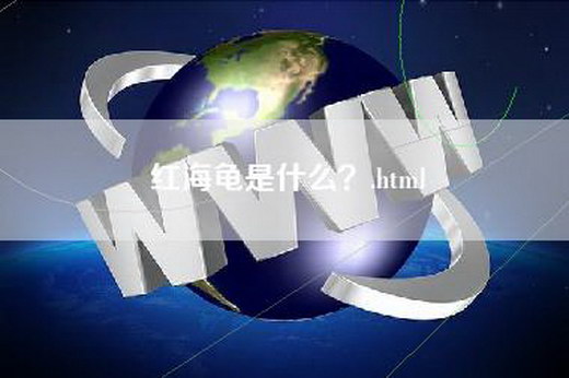 红海龟是什么？.html