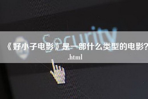 《好小子电影》是一部什么类型的电影？.html