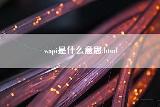 wapi是什么意思.html