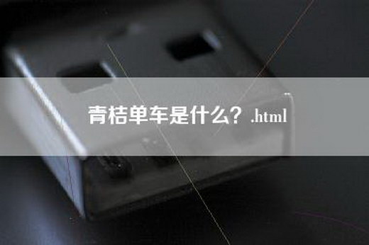 青桔单车是什么？.html