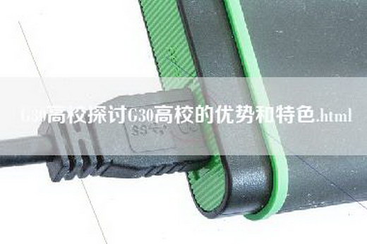 G30高校探讨G30高校的优势和特色.html