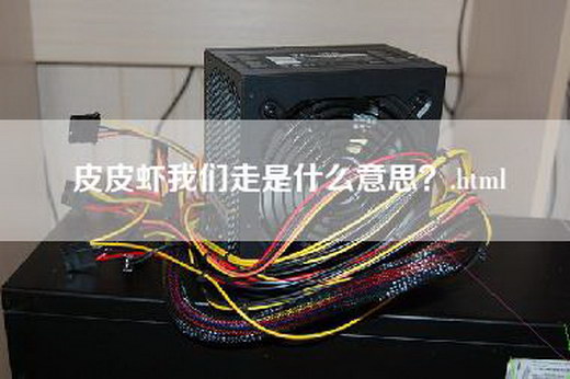 皮皮虾我们走是什么意思？.html