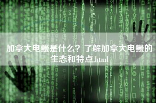 加拿大电鳗是什么？了解加拿大电鳗的生态和特点.html