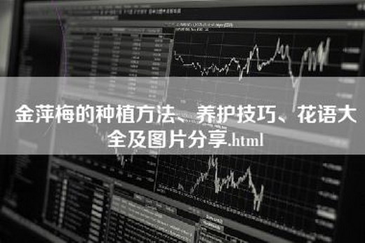 金萍梅的种植方法、养护技巧、花语大全及图片分享.html