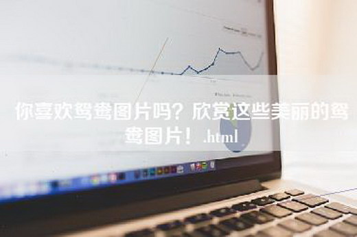 你喜欢鸳鸯图片吗？欣赏这些美丽的鸳鸯图片！.html