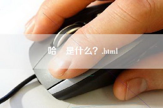 哈啰是什么？.html