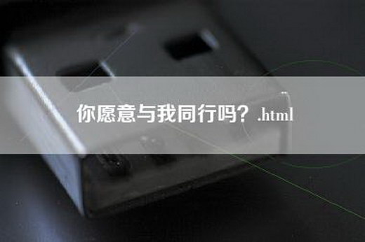 你愿意与我同行吗？.html