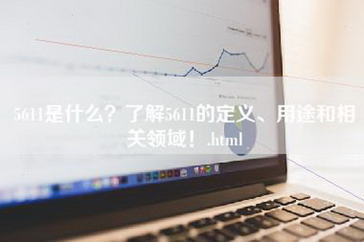 5611是什么？了解5611的定义、用途和相关领域！.html