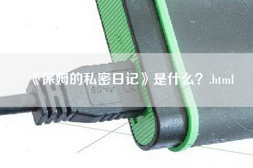 《保姆的私密日记》是什么？.html