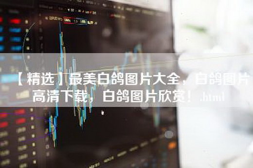 【精选】最美白鸽图片大全，白鸽图片高清下载，白鸽图片欣赏！.html