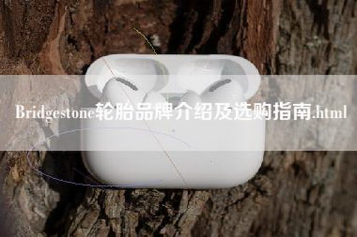 Bridgestone轮胎品牌介绍及选购指南.html