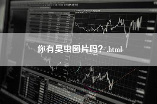 你有臭虫图片吗？.html