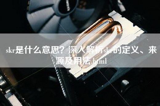 skr是什么意思？深入解析skr的定义、来源及用法.html