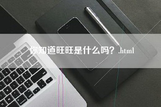 你知道旺旺是什么吗？.html