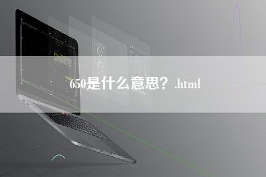 650是什么意思？.html