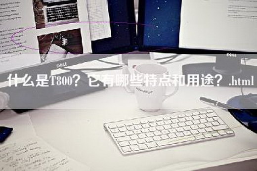 什么是T800？它有哪些特点和用途？.html