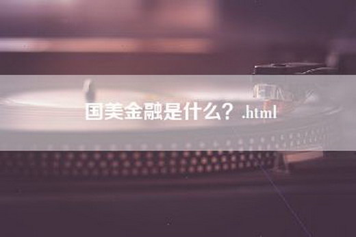 国美金融是什么？.html