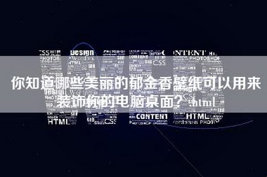 你知道哪些美丽的郁金香壁纸可以用来装饰你的电脑桌面？.html