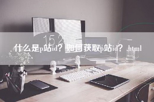 什么是p站id？如何获取p站id？.html