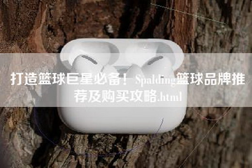 打造篮球巨星必备！Spalding篮球品牌推荐及购买攻略.html