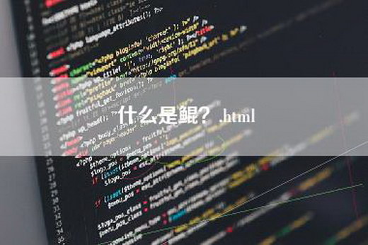 什么是鲲？.html