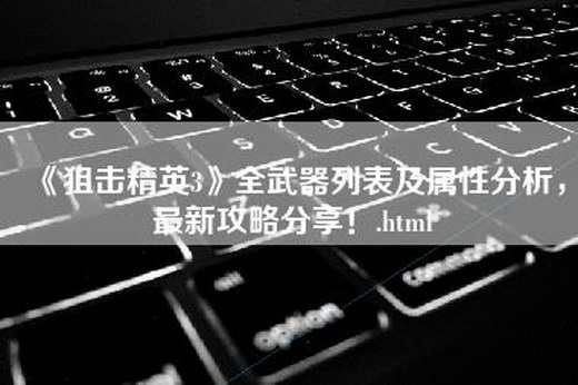 《狙击精英3》全武器列表及属性分析，最新攻略分享！.html