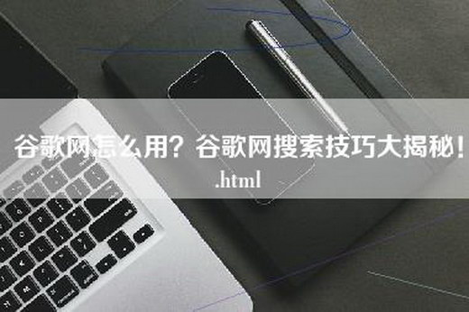 谷歌网怎么用？谷歌网搜索技巧大揭秘！.html